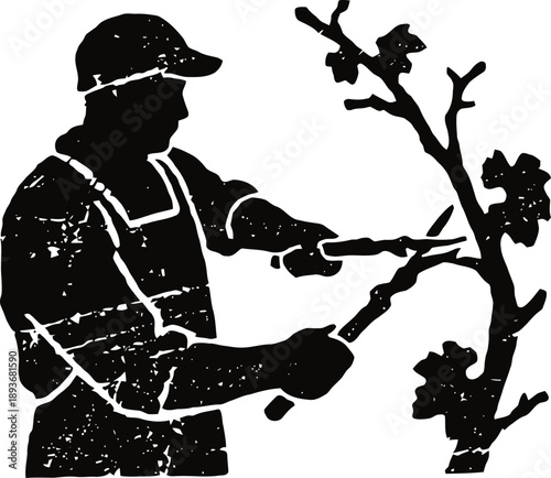 Gardener pruning tree branches with tools, horticulture, garden care and plant maintenance concept