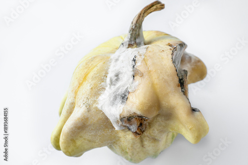 Photography Cut the rotten pumpkin