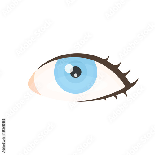 Human Eye Vector Illustration, Vision and Sight Concept, Medical and Healthcare Design