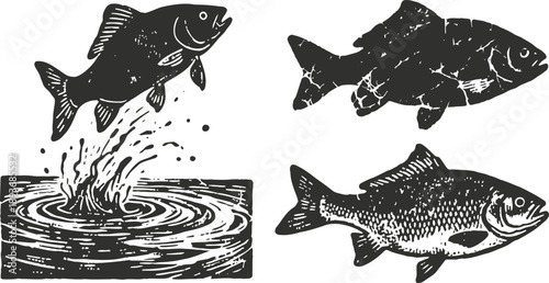 fish jumping and swimming hand drawn vintage aquatic wildlife illustrations set with ripples and splashes