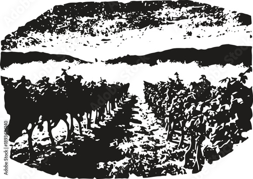 Black and white vineyard landscape with rows of grapevines and hills in background