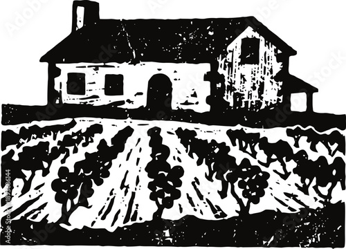 Rustic farmhouse with vineyard rows, countryside agricultural landscape illustration