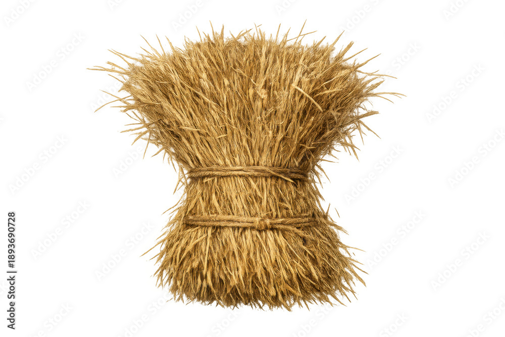 Fototapeta premium Sheaf of golden wheat ears tied with twine, representing agriculture, harvest, and traditional farming practices
