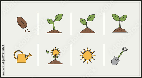 Stages of plant growth from seed to sprout with gardening tools and sun