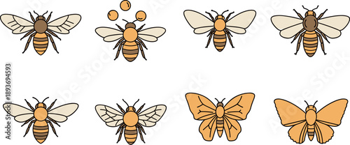 Collection of stylized bees and butterflies in a simple flat design with outlines