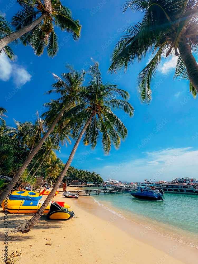 Fototapeta premium Vibrant Tropical Beach Scene with Tall Palm Trees, Inflatable Boats, and Speedboats Anchored in Turquoise Water