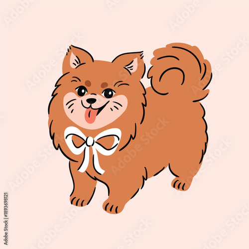 Vector adorable spitz dog flat style, vector illustration isolated on light pink background. Decorative design element, little puppy with white bow