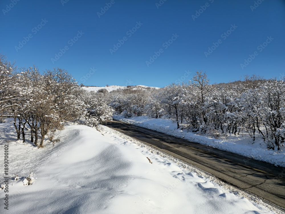 Obraz premium Snow-covered road winding through winter forest under clear blue sky, capturing seasonal tranquility and natural beauty. 📍Marivan, Kurdistan 