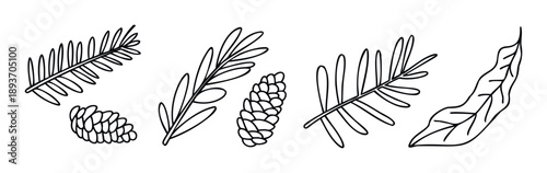 Collection of handdrawn botanical outlines featuring various leaves, branches, and pine cones perfect for creating naturalthemed greeting cards, holiday decorations, and forestinspired