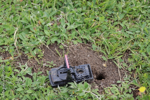 Obraz na płótnie A plastic mouse trap stands on a garden bed, a trap for rodents, voles, and pests