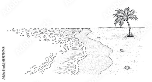 Tropical beach drawing depicting ocean waves meeting a sandy shore with a towering palm tree, starfish, and seashell, suitable for travel promotions, vacation advertisements, or summer