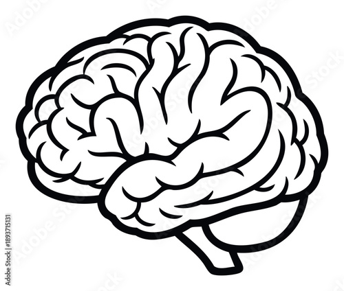 Stylized black and white outline of a human brain showing complex cortical folds, excellent for educational content, scientific diagrams, mental health awareness, or general intelligence