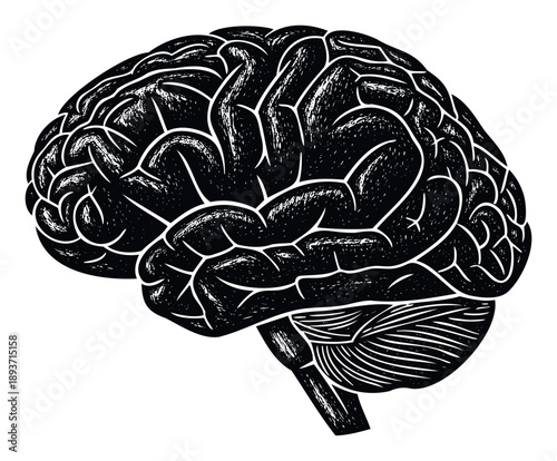 Stylized human brain diagram in a monochrome aesthetic representing intelligence and thought, ideal for neurology, psychology, and academic resources.