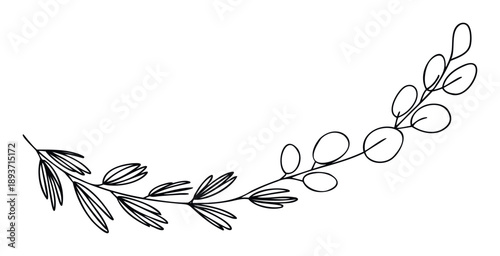 Minimalist outline of a natural foliage branch with varying leaf styles forming a graceful arc for use in stationary, ecological labels, or serene graphic templates.