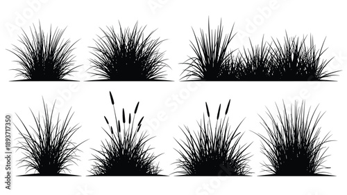 Collection of black silhouettes representing various types of grass and meadow plants for landscape and outdoor design.