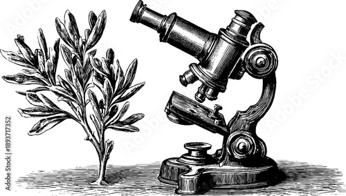 Vintage optical experiment with prism and botanical elements design for scientific illustration