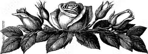 Vintage botanical ornamental crest wreath with roses for design projects