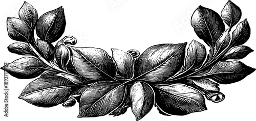 Vintage botanical ornamental crest wreath design for decorative use