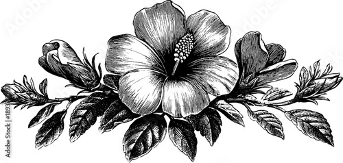 Ornamental botanical emblem with vintage floral medallion design for prints and decorations