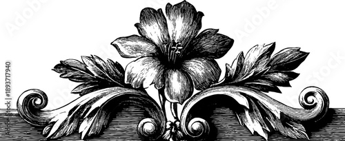 Ornamental botanical emblem with scroll frame design for retro decor