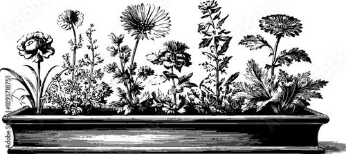 Vintage botanical illustration of ornamental tray with raised edge for design