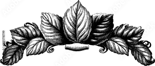 Ornate botanical frame with symmetrical leaf pattern for vintage design projects