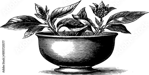 Antique 19th century porcelain bowl with vintage botanical engraving