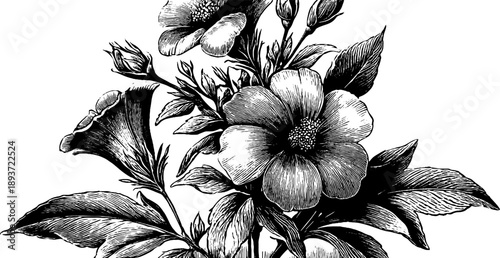 Vintage botanical floral design in engraved style for rectangular wooden door panel