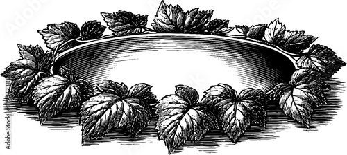 Vintage botanical round frame with leaves and vines for decorative design