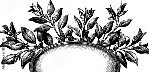 Vintage botanical ornamental frame with leaves and vines for retro design