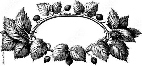 Elegant ornamental frame with leaves and vines for botanical design