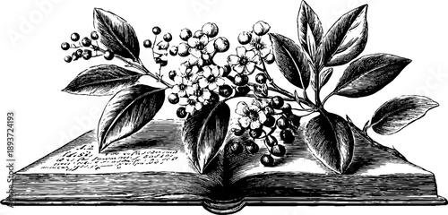 Vintage botanical illustration in scientific notebook with engraved diagrams