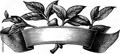 Vintage botanical ribbon banner design with hand drawn engraving for label or card