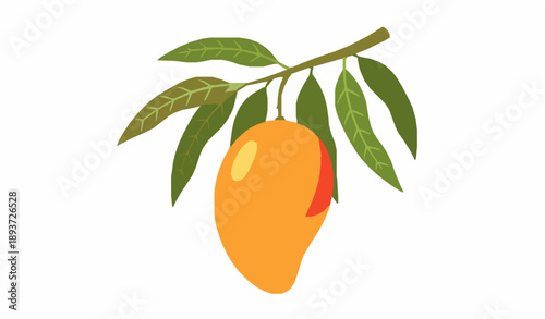 Botanical mango on tree branch flat vector illustration isolated on white background