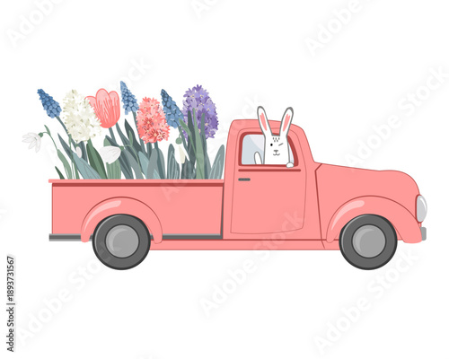 Pink vintage truck with spring flowers in the back and bunny driver. Hello Spring concept. Easter, woman day or birthday card. Flower delivery, vector isolated illustration