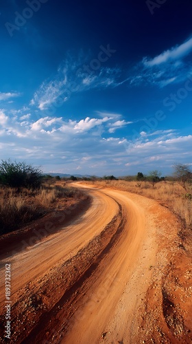 Winding Dirt Road Through African Savannah Landscape