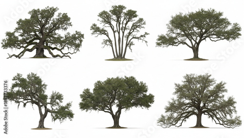 Collection of diverse tree silhouettes in various shapes and sizes