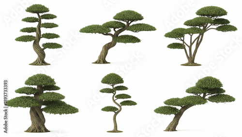 Collection of diverse tree species displayed from various viewpoints