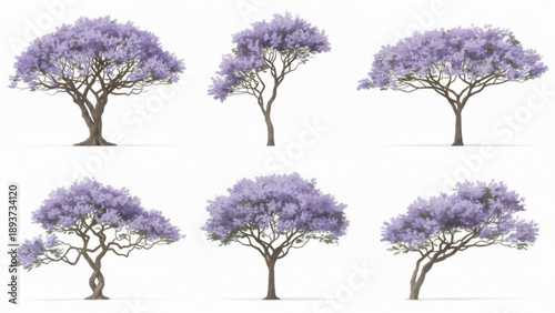 Diverse Illustrations of Blooming Purple Trees, Capturing Spring's Vibrant Essence