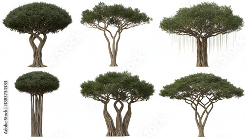 Digital concept art featuring a selection of distinct tree species and natural forms