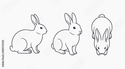 Action Sketches of Cute Rabbits Illustrating Movement in Minimalistic Style
