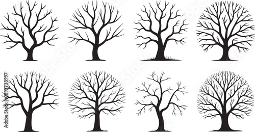 A collection of eight detailed black silhouettes representing mature, leafless deciduous trees with distinct crown shapes and visible root flare.