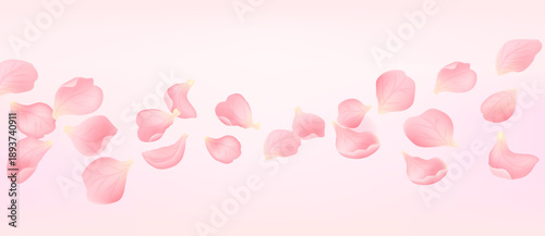 Soft pink flower petals floating on light pastel background. Romantic floral composition for wedding design, beauty branding, spring banners and elegant backgrounds