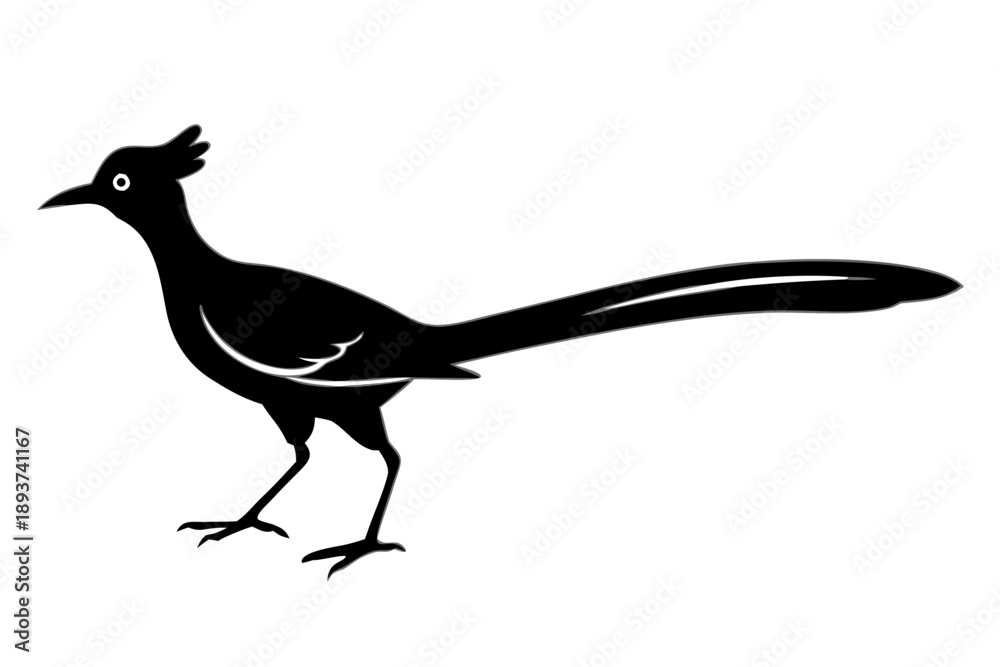 Obraz premium roadrunner bird icon vector, roadrunner bird silhouette vector