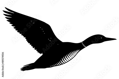 Photos flying loon black silhouette vector, flying loon icon