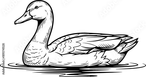 Duck swimming on water silhouette with gentle ripples for serene pond wildlife and nature bird illustration – Black and White Vector Illustration