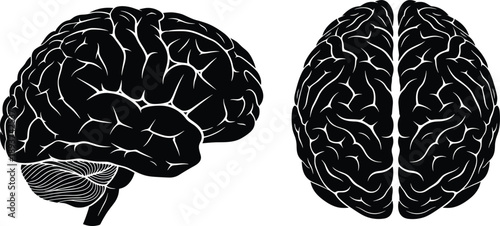 Black silhouettes of a human brain in profile and top view Keywords: brain, human brain, anatomy, science, medical, neurology