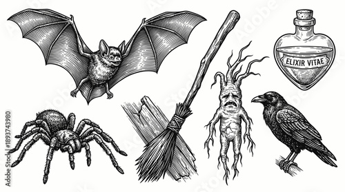 Vintage Occult Engraving Set: Bat, Mandrake, Raven, Potion, Spider, and Broomstick. Witchcraft and Dark Magic Elements in Woodcut Style for Halloween.