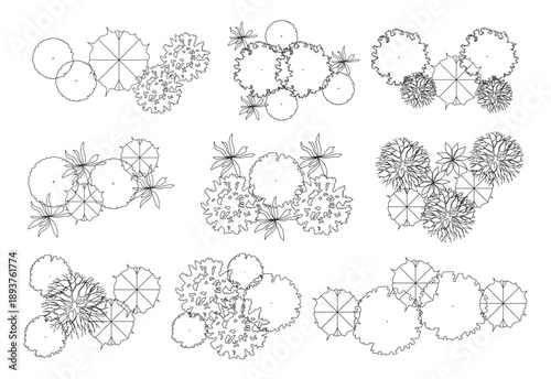 Architectural Drawings, Minimal style cad vegetation line drawing top view. for landscape plan and architecture layout drawing, elements for environment and garden.