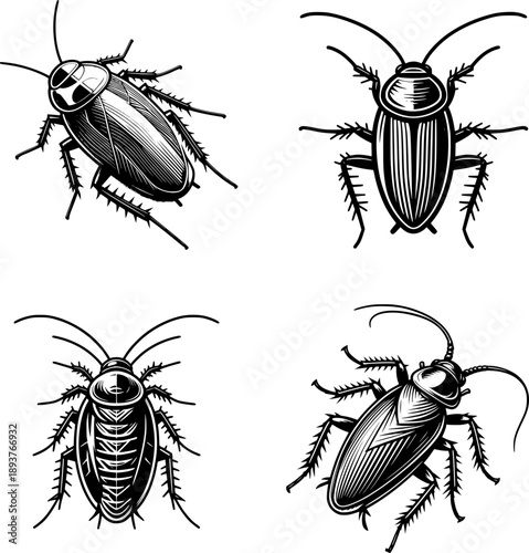 set of four minimalist black and white cockroach vector icon with clean lines, no shading, isolated on white.